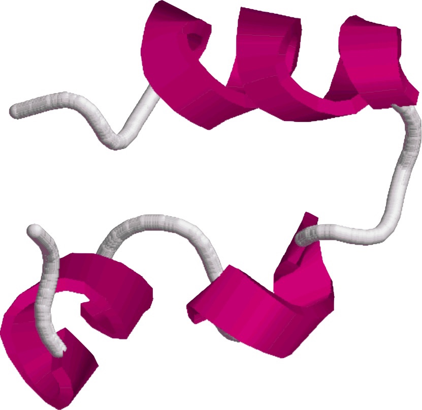 Room temperature structure of the chicken villin headpiece HP-36